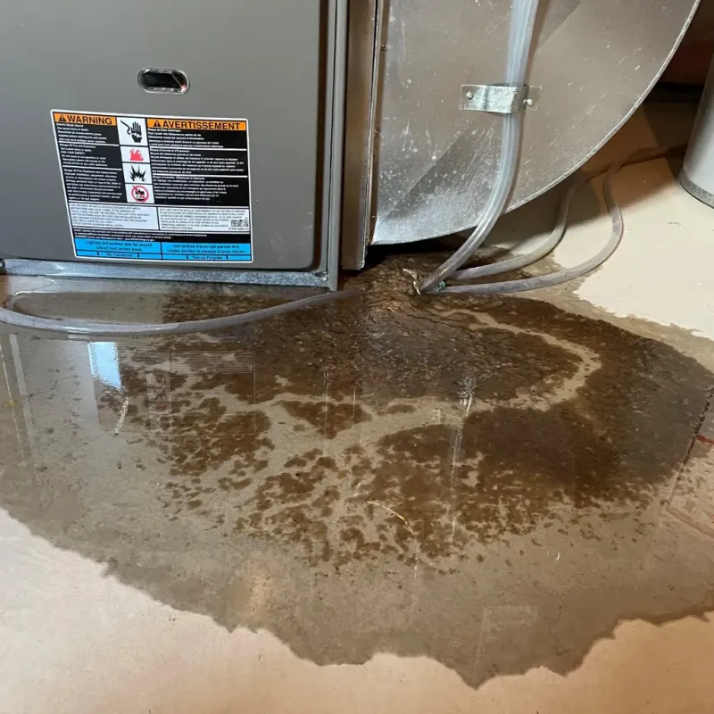 Appliance Leak Cleanup in Walnut Cove, NC